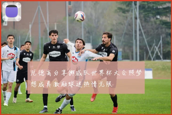 厄德高分享挪威队世界杯大合照梦想成真激励球迷热情无限