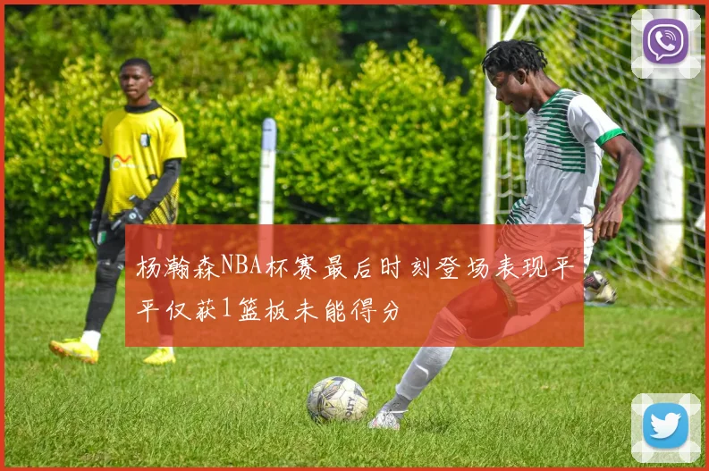 杨瀚森NBA杯赛最后时刻登场表现平平仅获1篮板未能得分