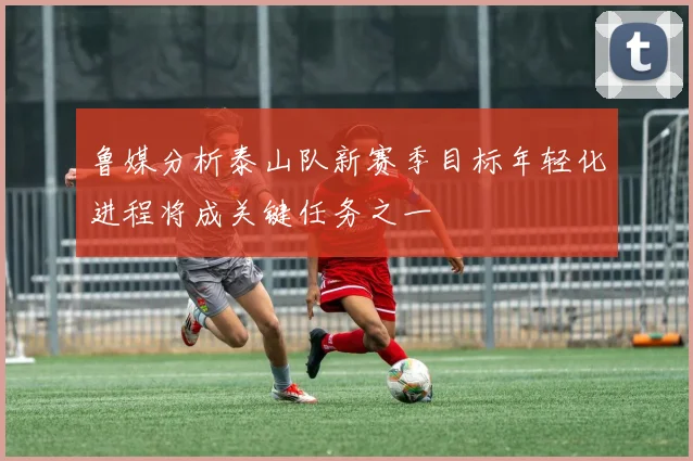 鲁媒分析泰山队新赛季目标年轻化进程将成关键任务之一